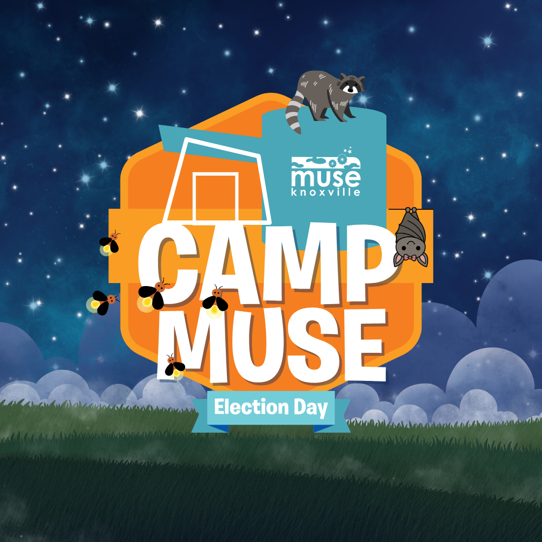 Election Day Camp